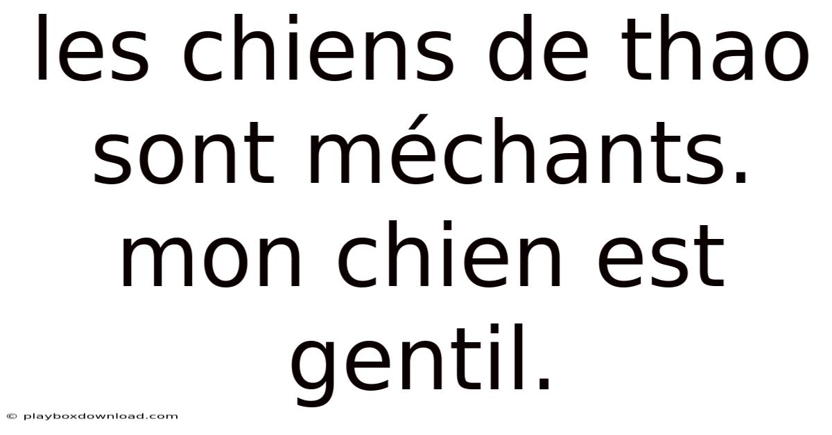 Les Chiens De Thao Sont Méchants. Mon Chien Est Gentil.