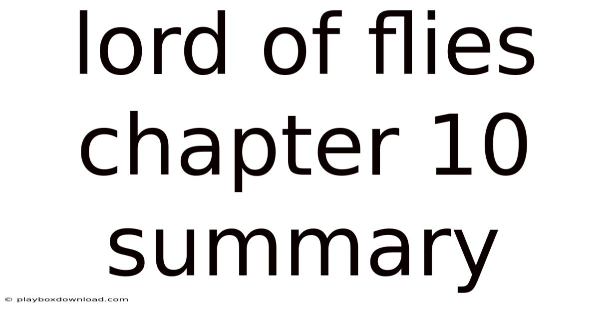 Lord Of Flies Chapter 10 Summary
