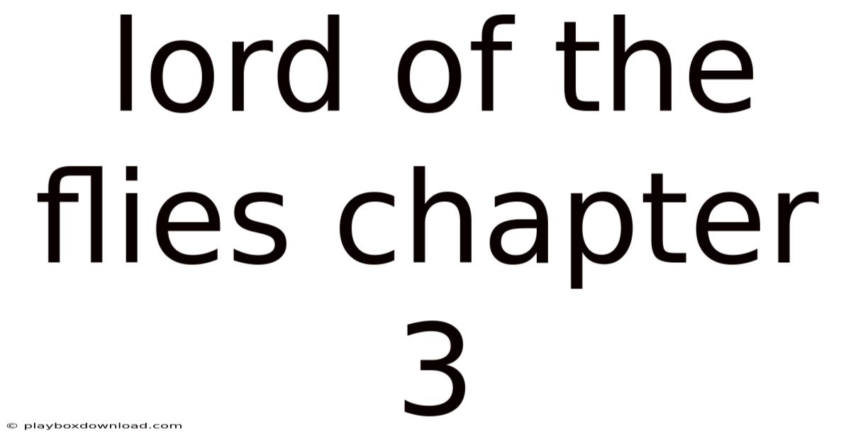 Lord Of The Flies Chapter 3