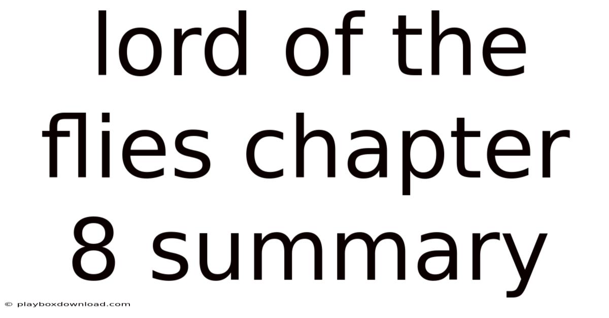 Lord Of The Flies Chapter 8 Summary