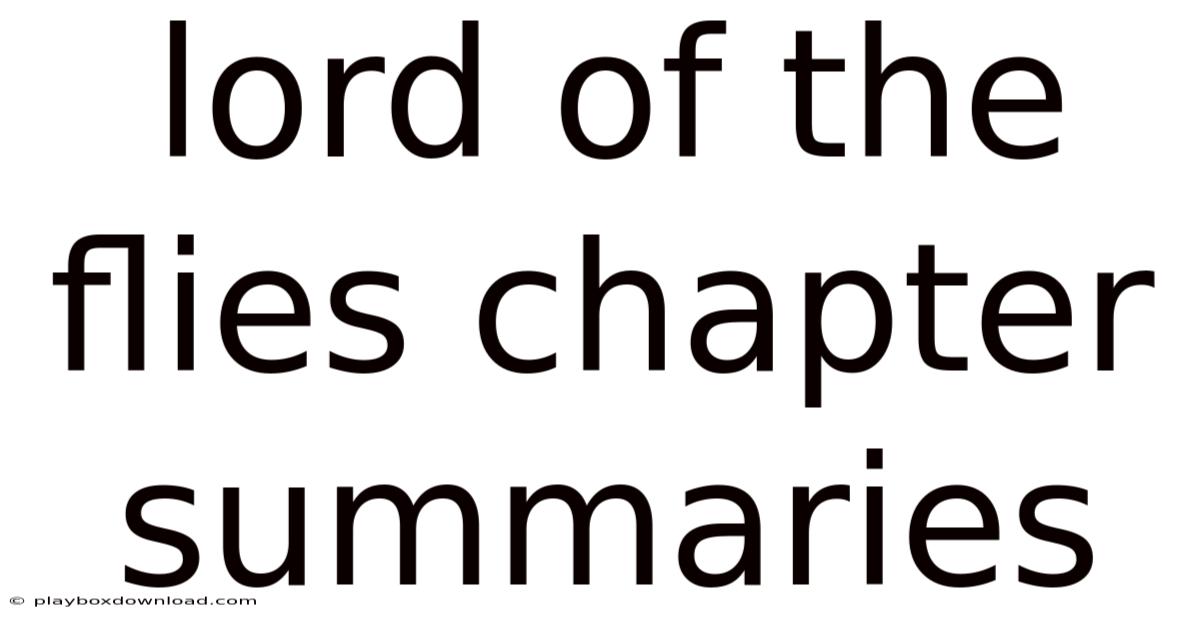 Lord Of The Flies Chapter Summaries