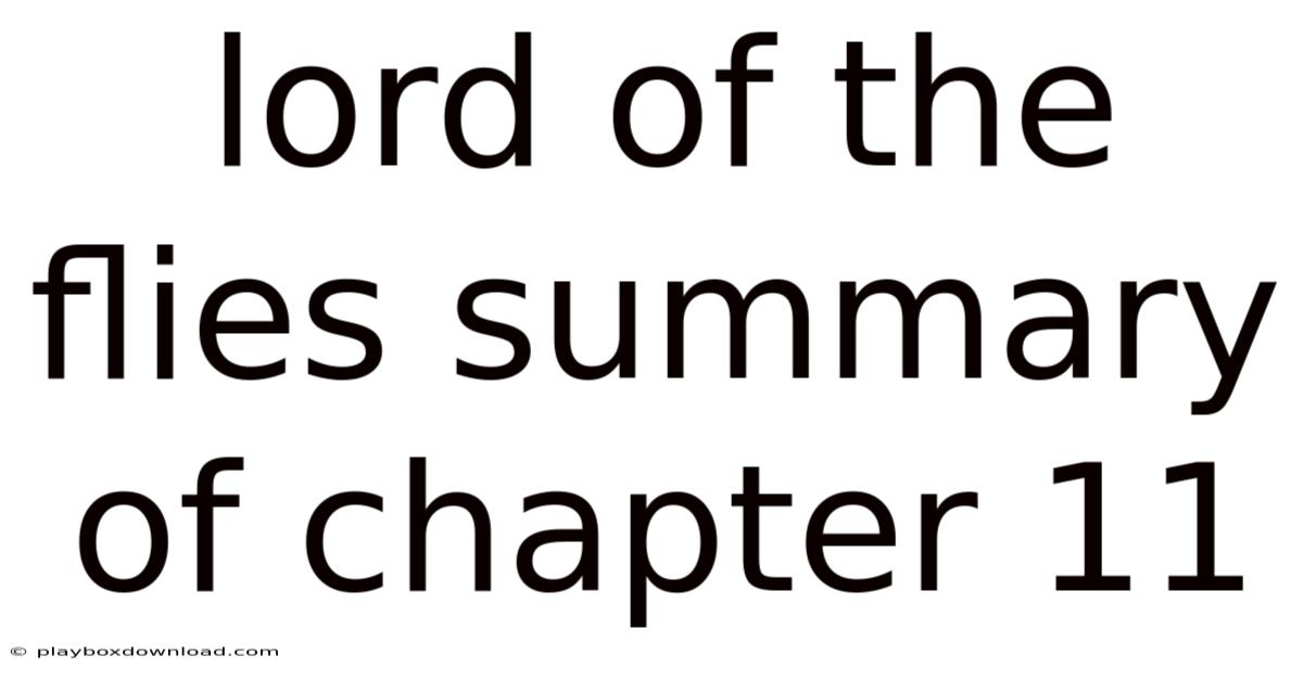 Lord Of The Flies Summary Of Chapter 11