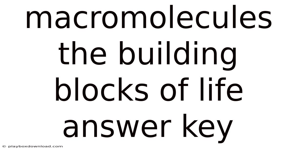 Macromolecules The Building Blocks Of Life Answer Key