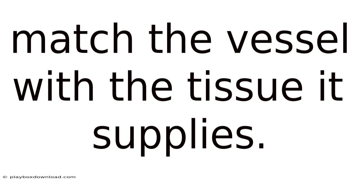Match The Vessel With The Tissue It Supplies.
