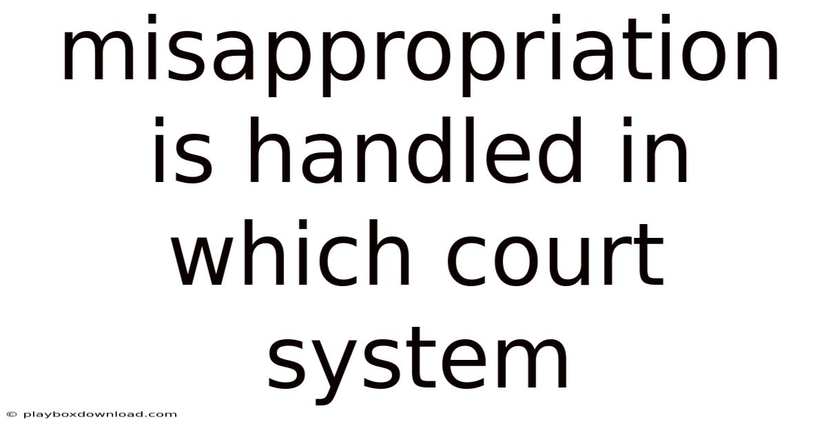 Misappropriation Is Handled In Which Court System