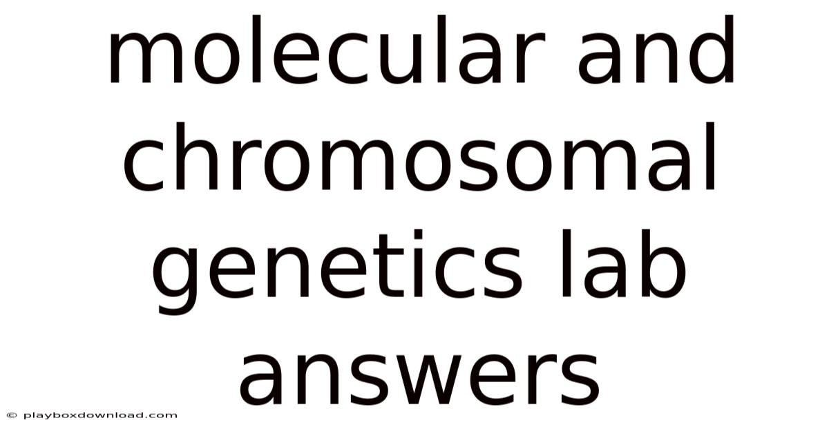 Molecular And Chromosomal Genetics Lab Answers