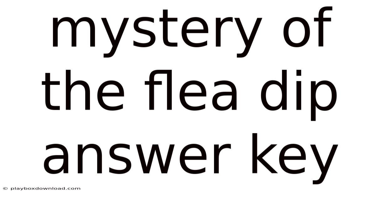 Mystery Of The Flea Dip Answer Key