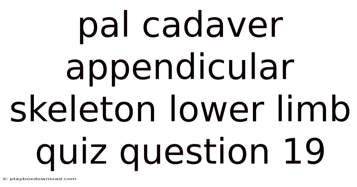 Pal Cadaver Appendicular Skeleton Lower Limb Quiz Question 19