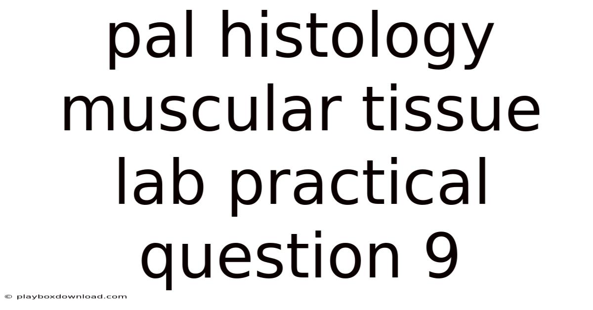 Pal Histology Muscular Tissue Lab Practical Question 9