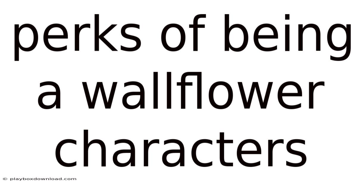 Perks Of Being A Wallflower Characters