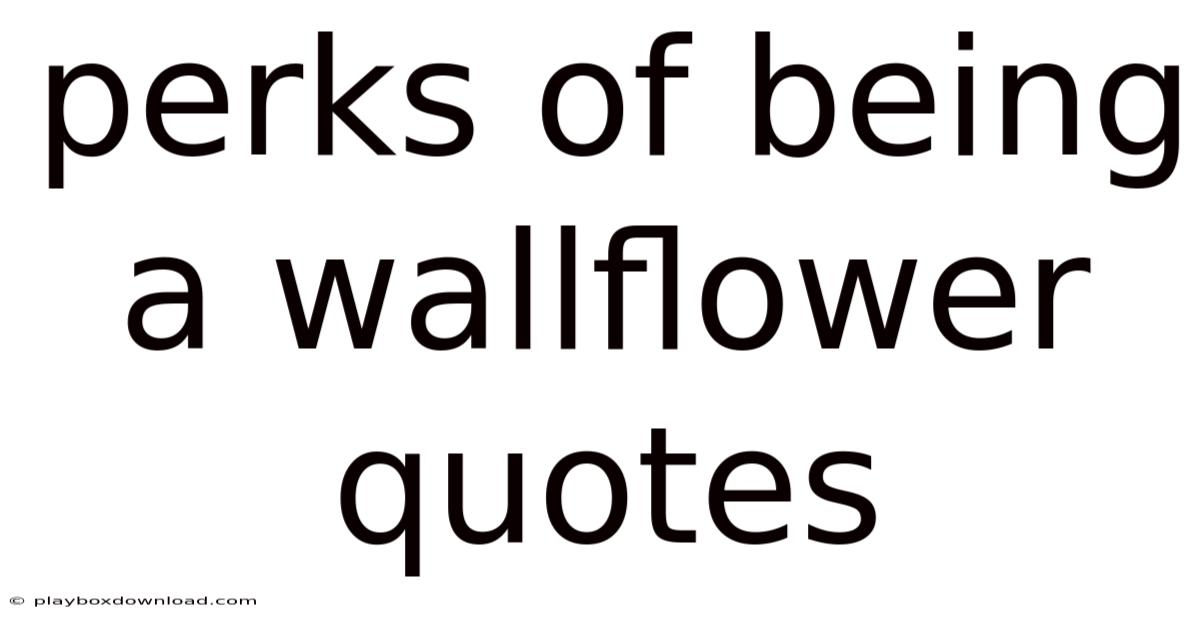 Perks Of Being A Wallflower Quotes