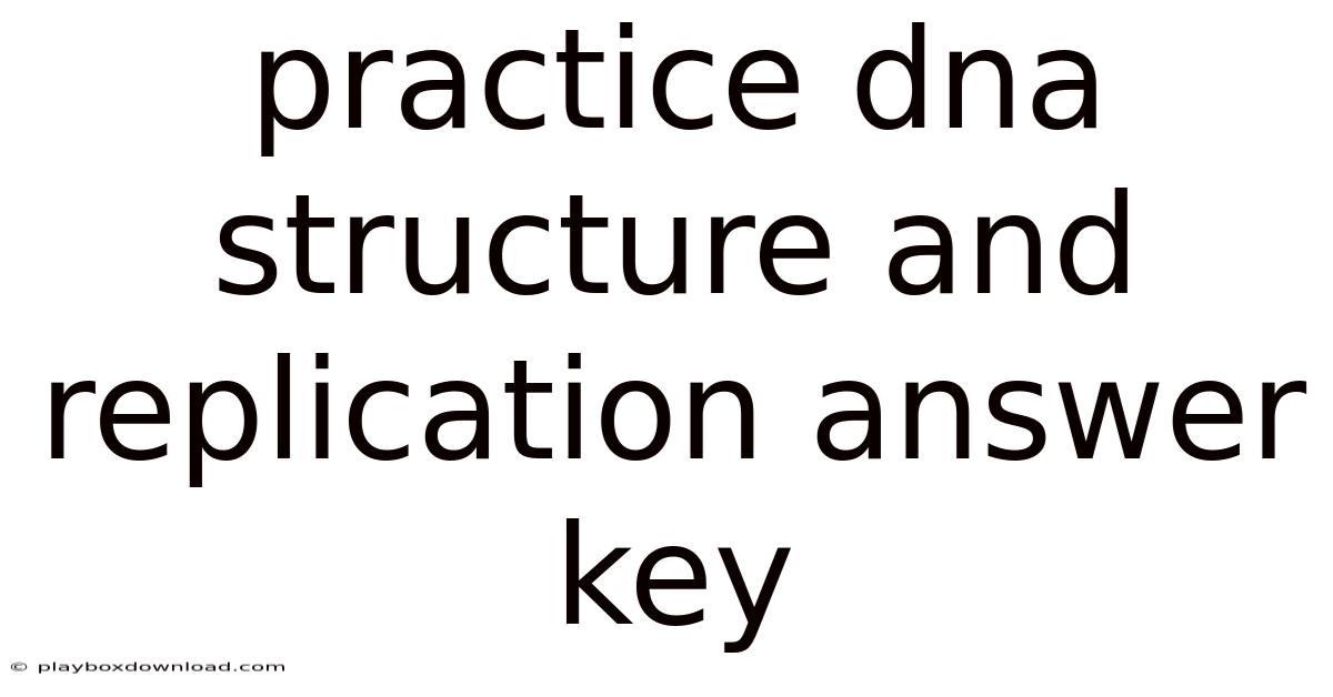 Practice Dna Structure And Replication Answer Key