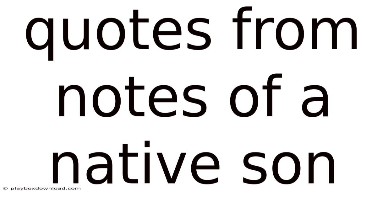 Quotes From Notes Of A Native Son