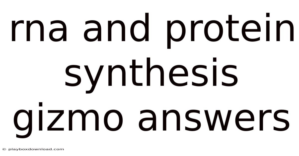 Rna And Protein Synthesis Gizmo Answers