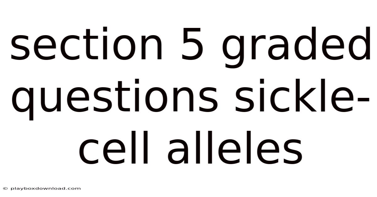Section 5 Graded Questions Sickle-cell Alleles