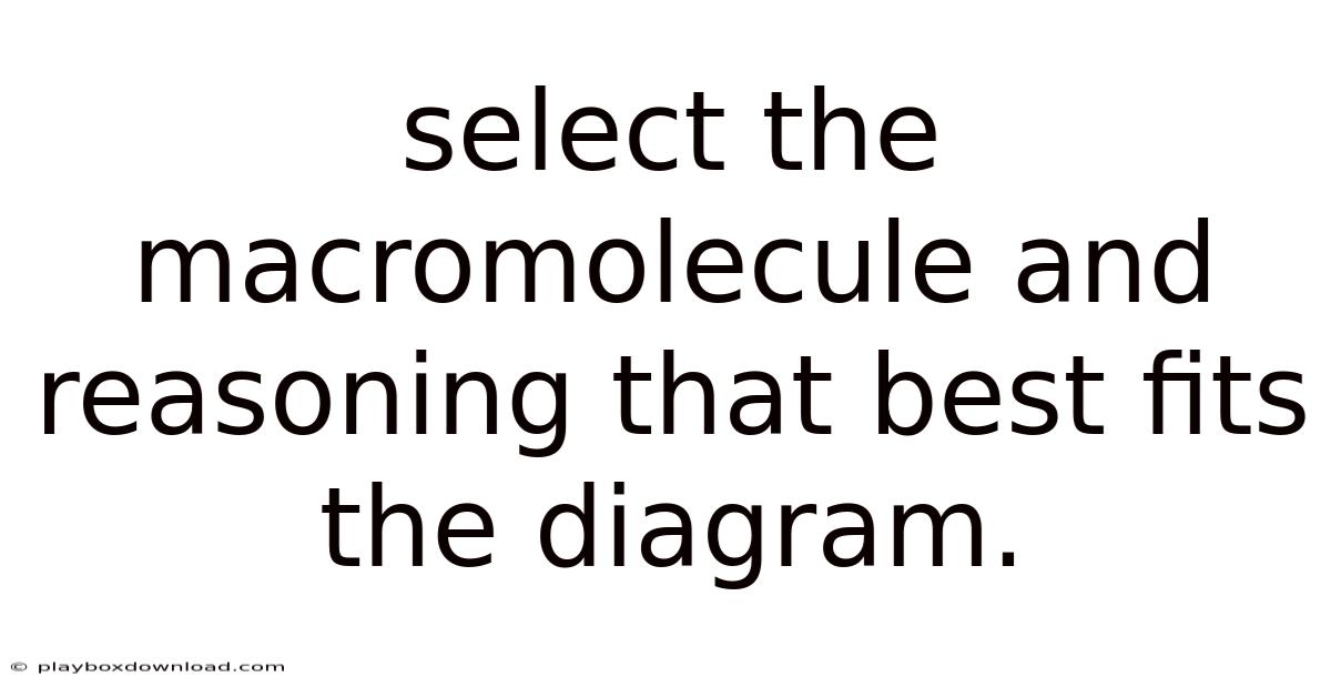 Select The Macromolecule And Reasoning That Best Fits The Diagram.