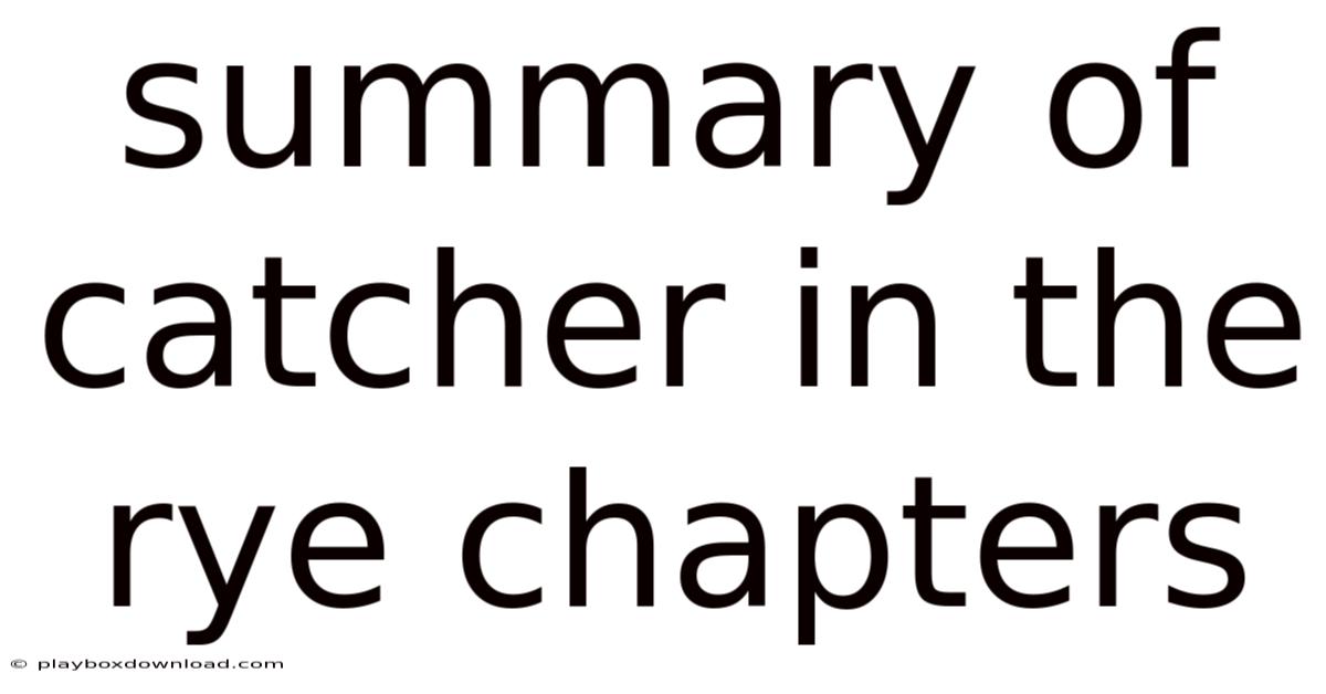 Summary Of Catcher In The Rye Chapters