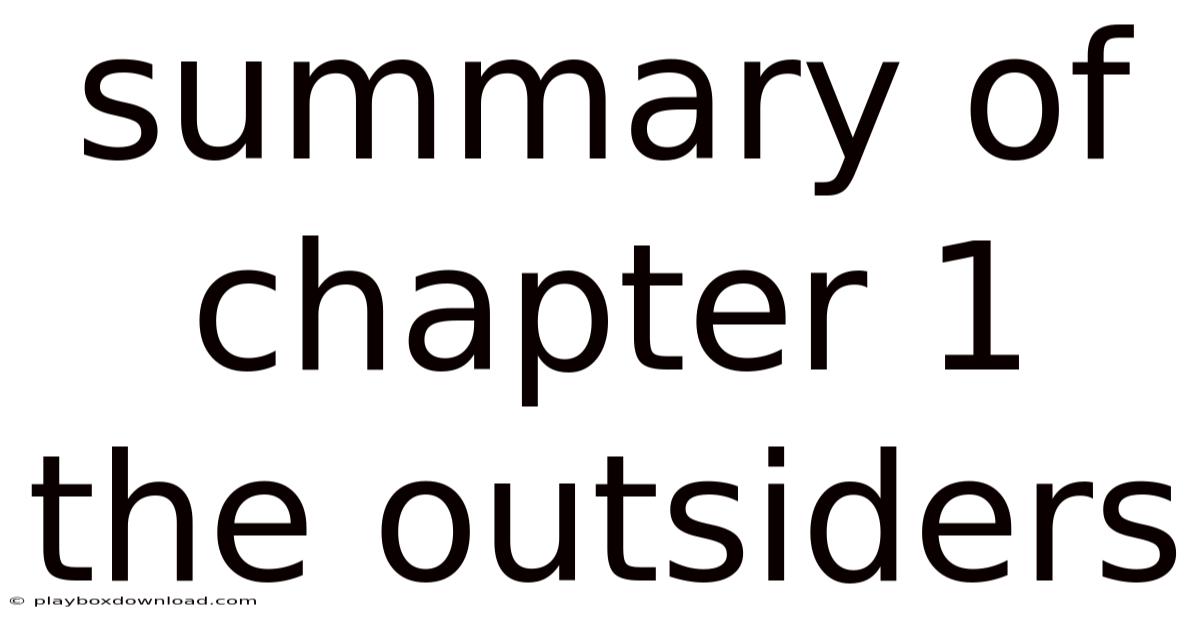 Summary Of Chapter 1 The Outsiders