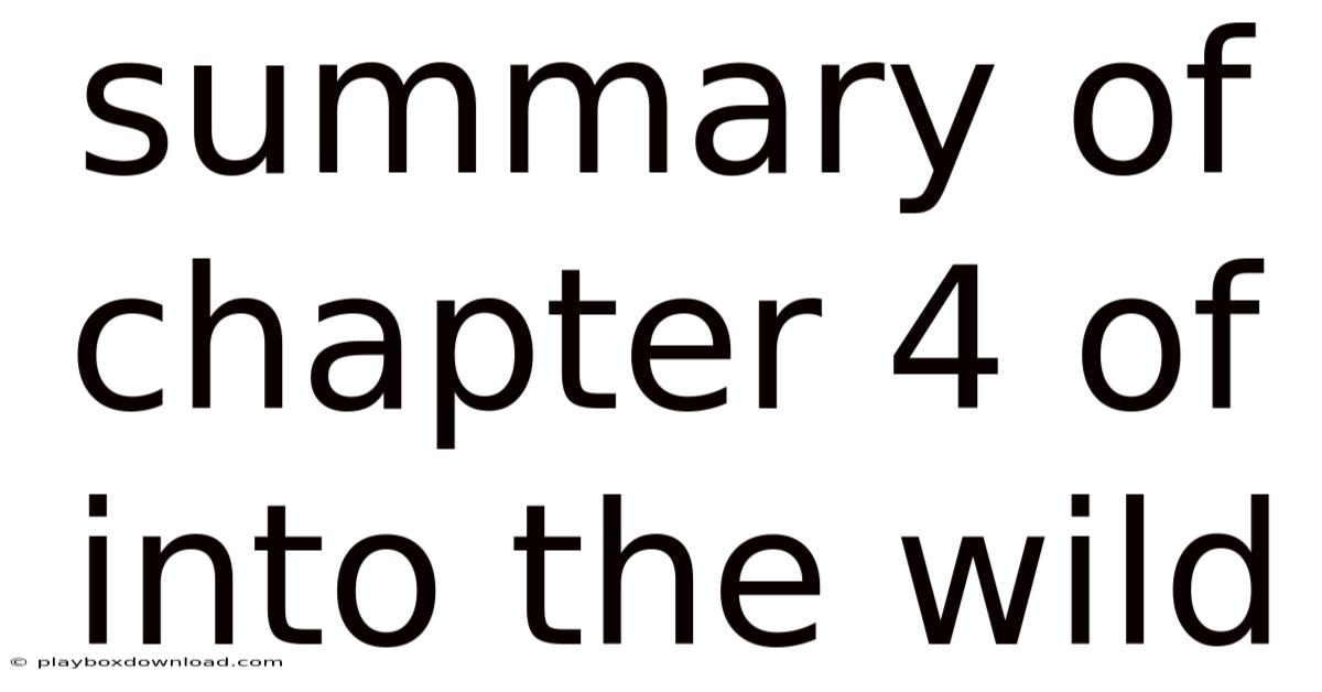 Summary Of Chapter 4 Of Into The Wild