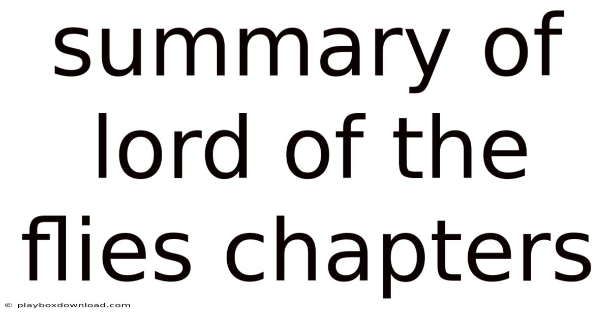 Summary Of Lord Of The Flies Chapters