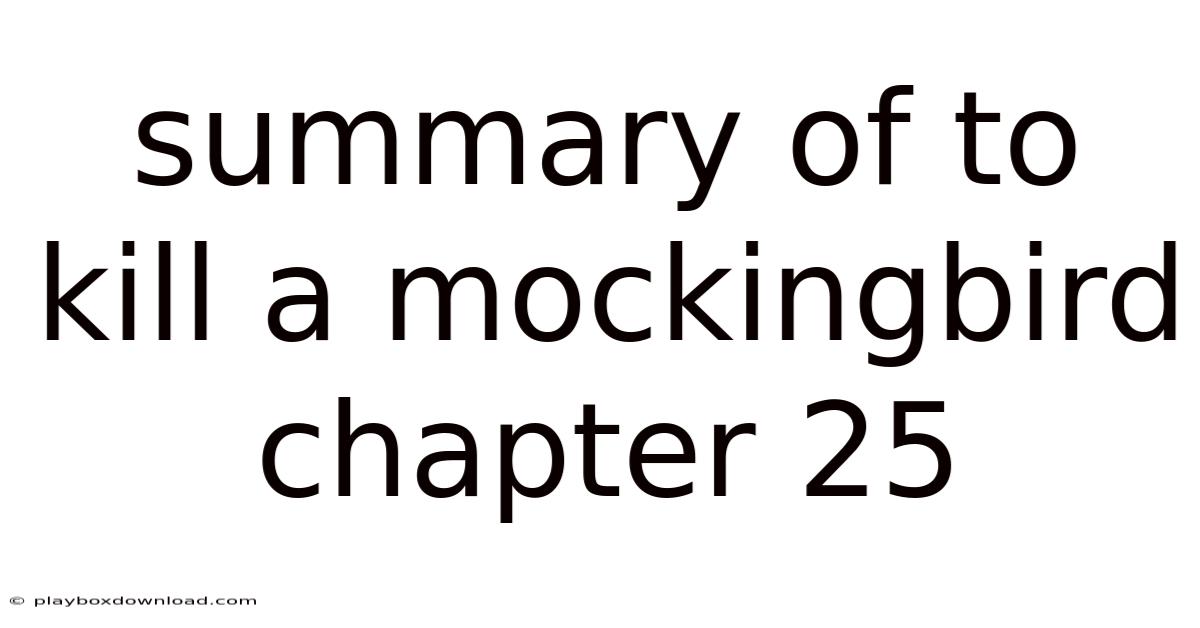 Summary Of To Kill A Mockingbird Chapter 25