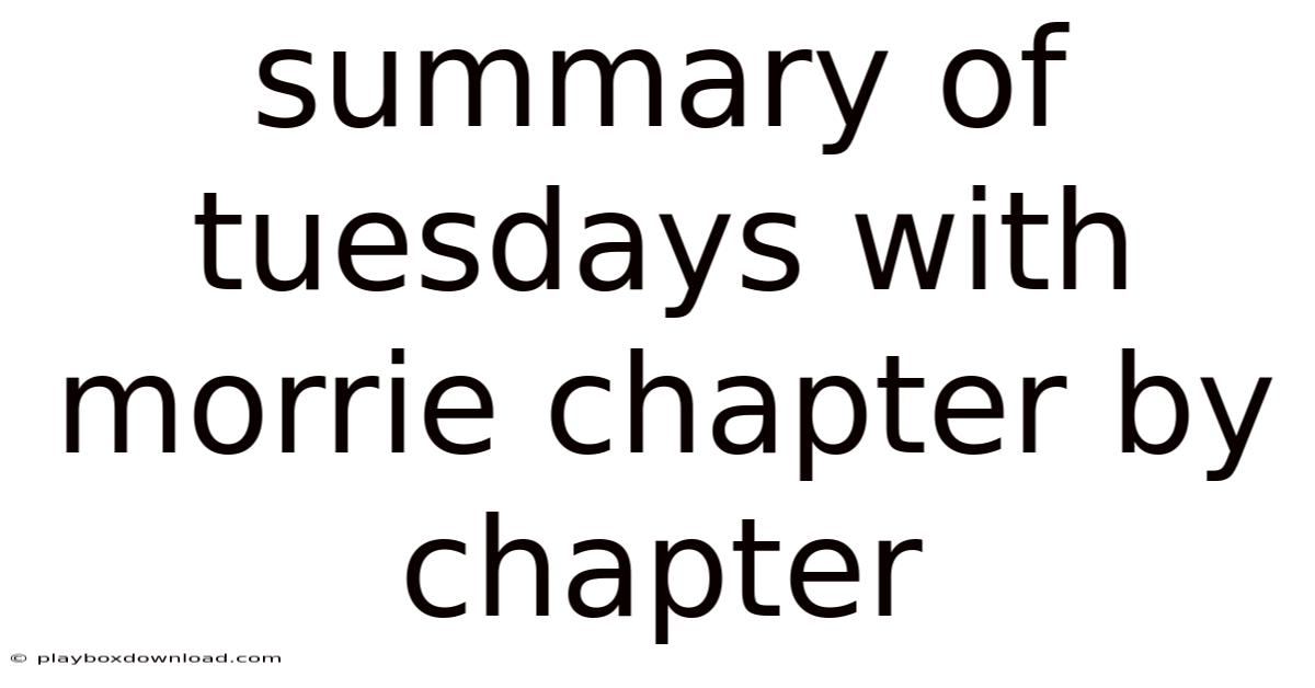Summary Of Tuesdays With Morrie Chapter By Chapter