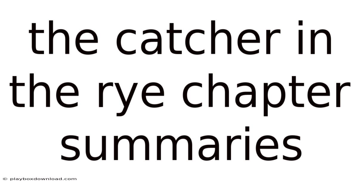 The Catcher In The Rye Chapter Summaries