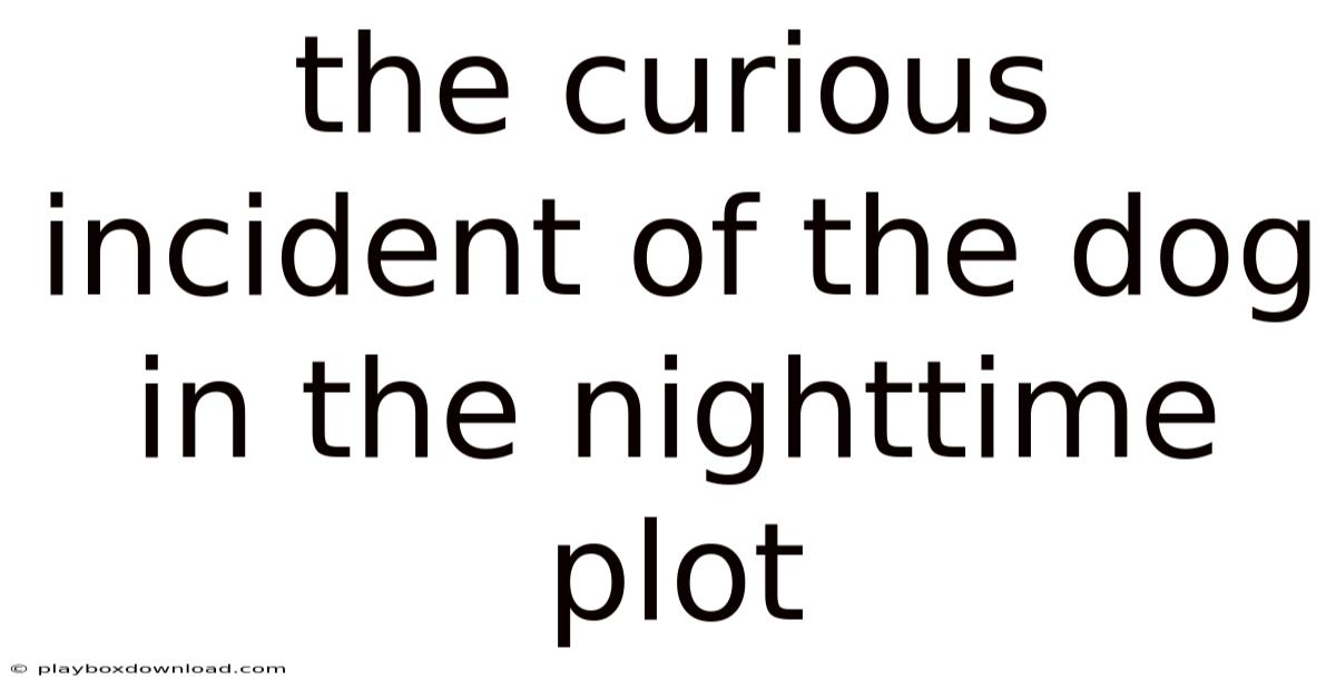 The Curious Incident Of The Dog In The Nighttime Plot