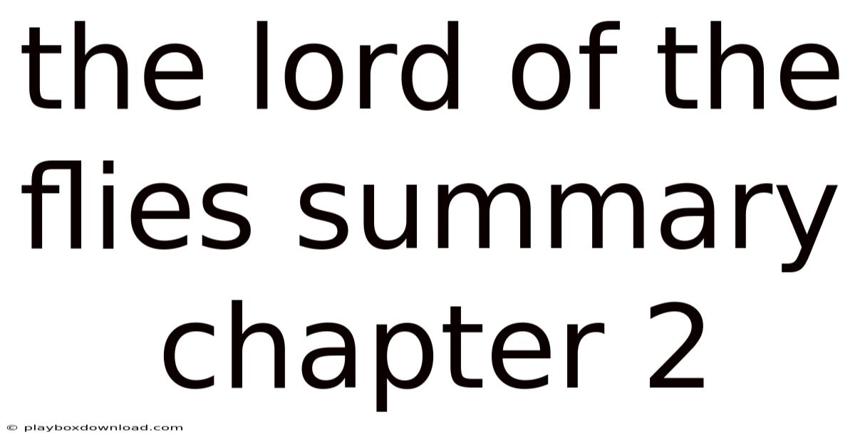 The Lord Of The Flies Summary Chapter 2