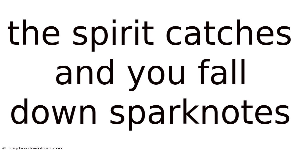 The Spirit Catches And You Fall Down Sparknotes
