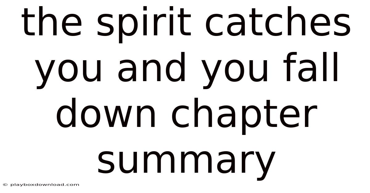 The Spirit Catches You And You Fall Down Chapter Summary