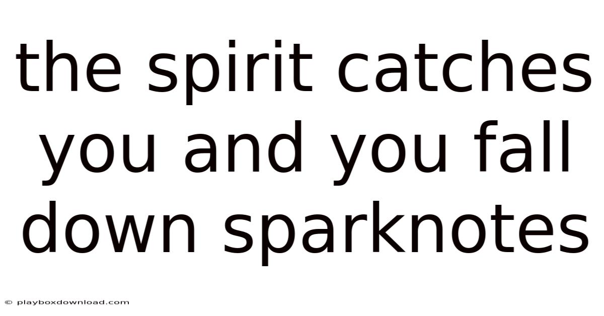 The Spirit Catches You And You Fall Down Sparknotes