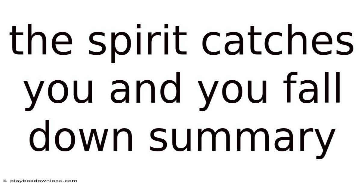 The Spirit Catches You And You Fall Down Summary