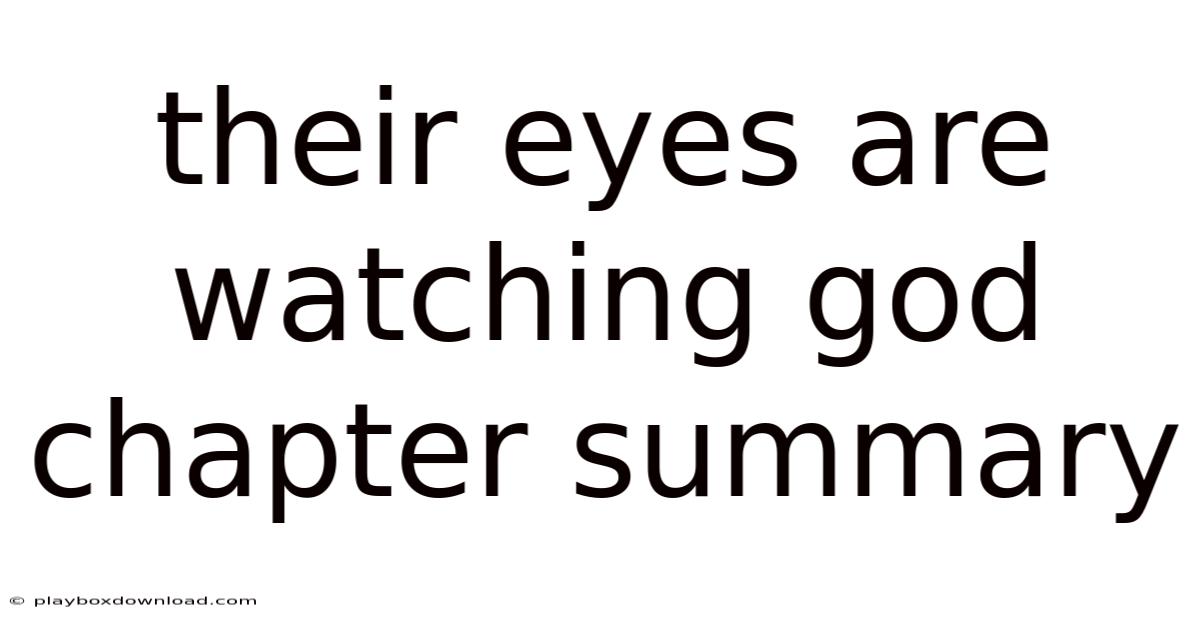 Their Eyes Are Watching God Chapter Summary