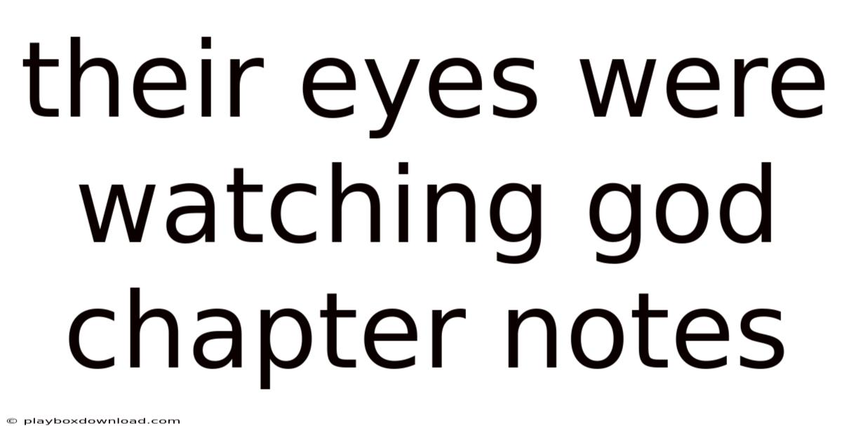 Their Eyes Were Watching God Chapter Notes