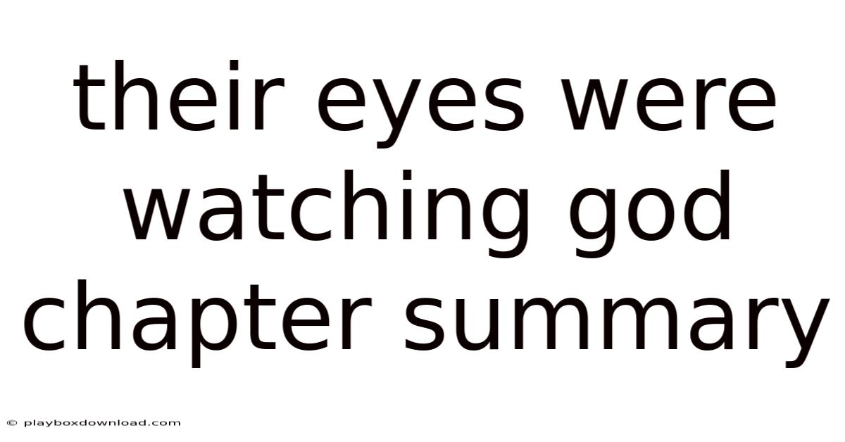Their Eyes Were Watching God Chapter Summary