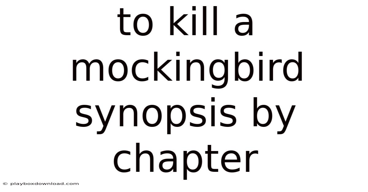 To Kill A Mockingbird Synopsis By Chapter