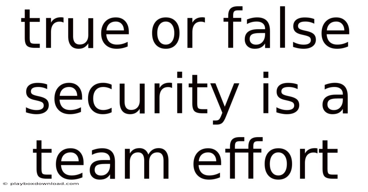 True Or False Security Is A Team Effort