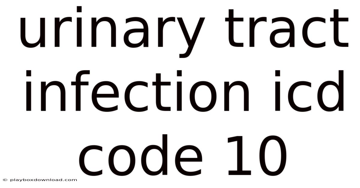 Urinary Tract Infection Icd Code 10