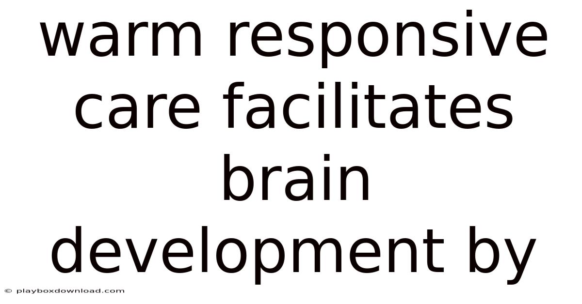 Warm Responsive Care Facilitates Brain Development By