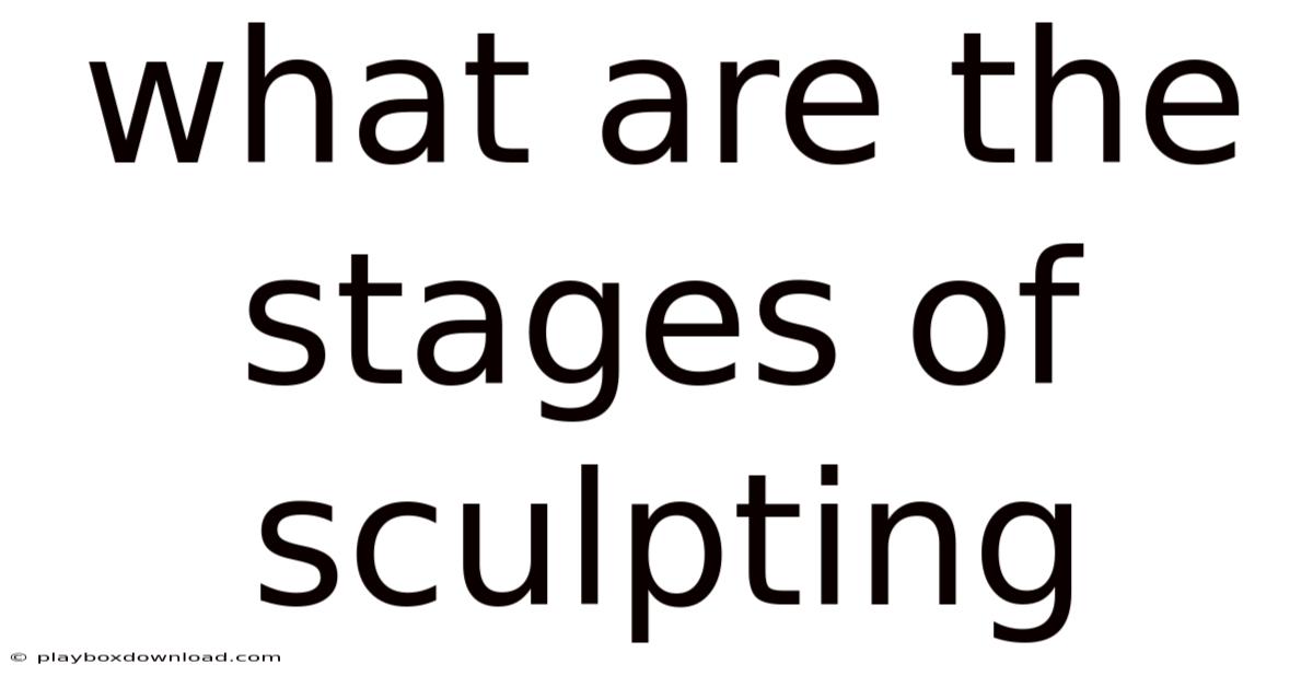 What Are The Stages Of Sculpting