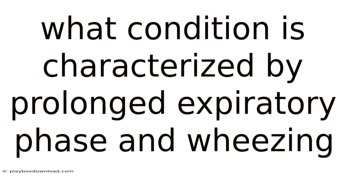 What Condition Is Characterized By Prolonged Expiratory Phase And Wheezing