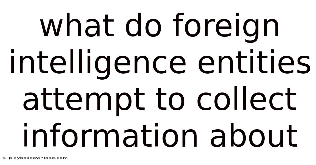 What Do Foreign Intelligence Entities Attempt To Collect Information About