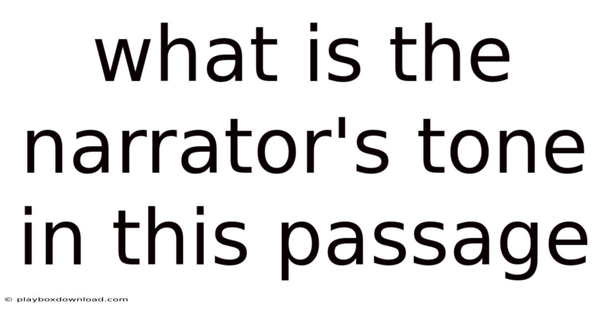 What Is The Narrator's Tone In This Passage