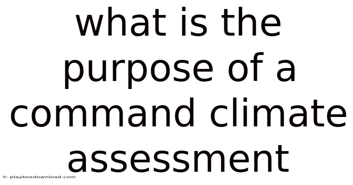 What Is The Purpose Of A Command Climate Assessment