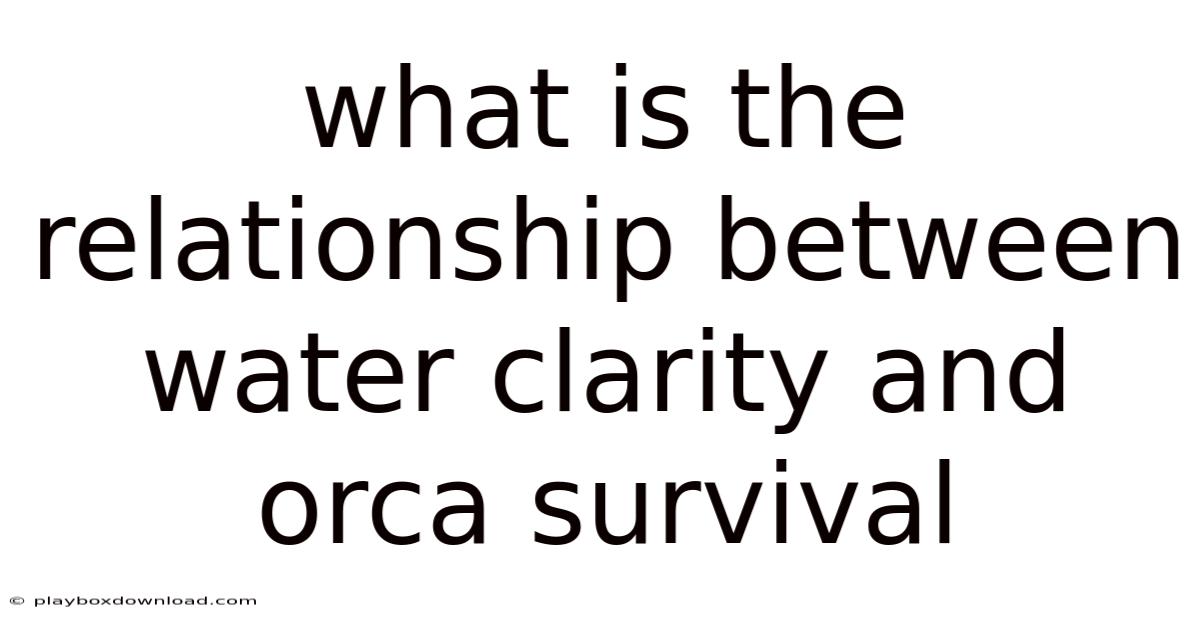 What Is The Relationship Between Water Clarity And Orca Survival