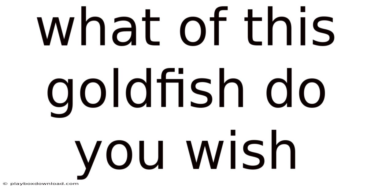 What Of This Goldfish Do You Wish