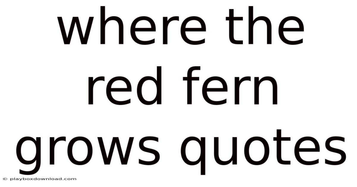 Where The Red Fern Grows Quotes