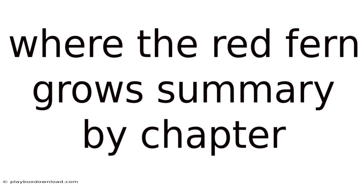 Where The Red Fern Grows Summary By Chapter