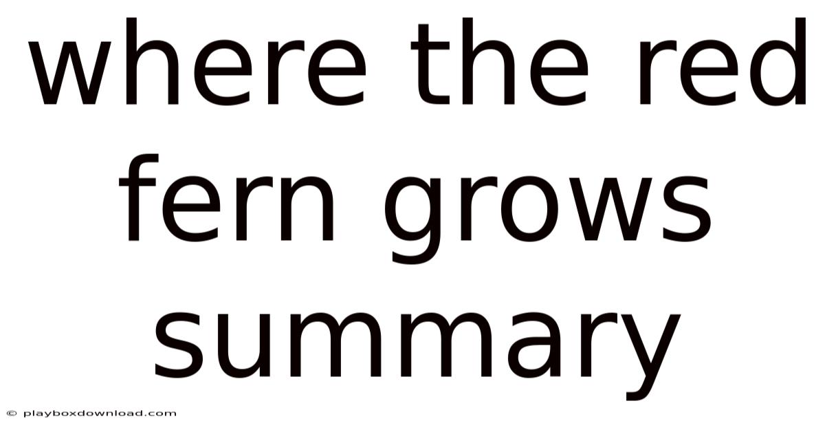 Where The Red Fern Grows Summary